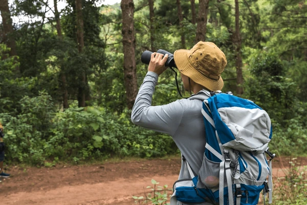 side-view-bird-watcher-using-600nw-2438431289